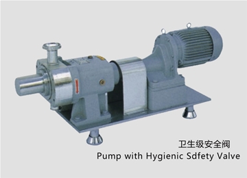 凸輪式轉子(zi)泵