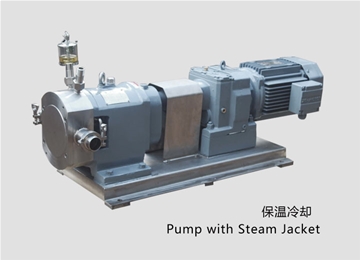 凸輪式(shì)轉子泵