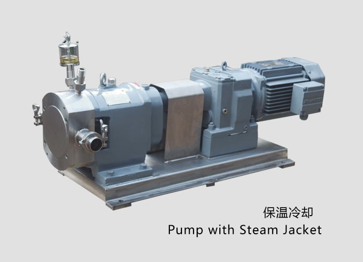 凸(tu)輪式轉(zhuǎn)子泵