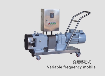 凸輪式轉(zhuǎn)子泵